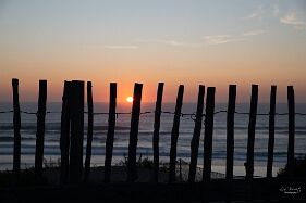 PHOTO_38093 Coucher de soleil à Biscarosse