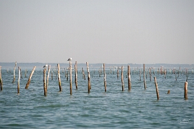 PHOTO_38122 Arcachon